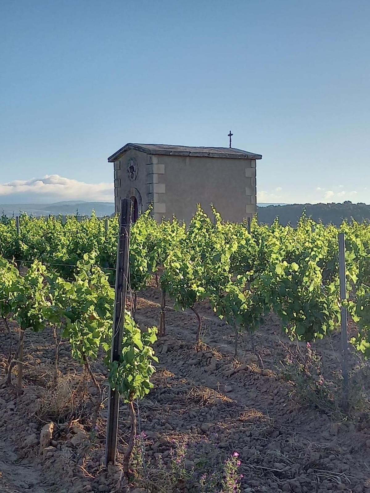 Villa Domaine Saint Augustin Rieux-Minervois Esterno foto