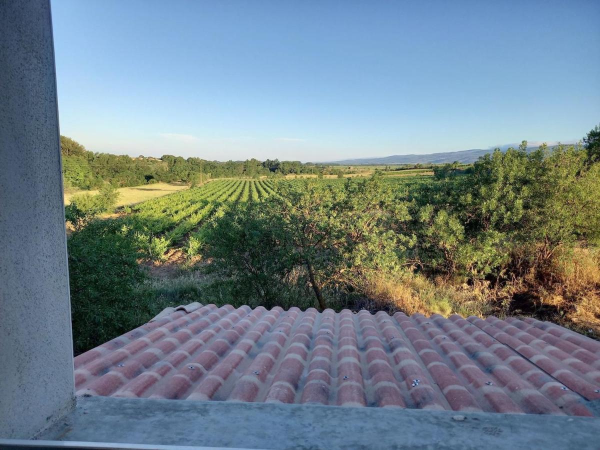 Villa Domaine Saint Augustin Rieux-Minervois Esterno foto