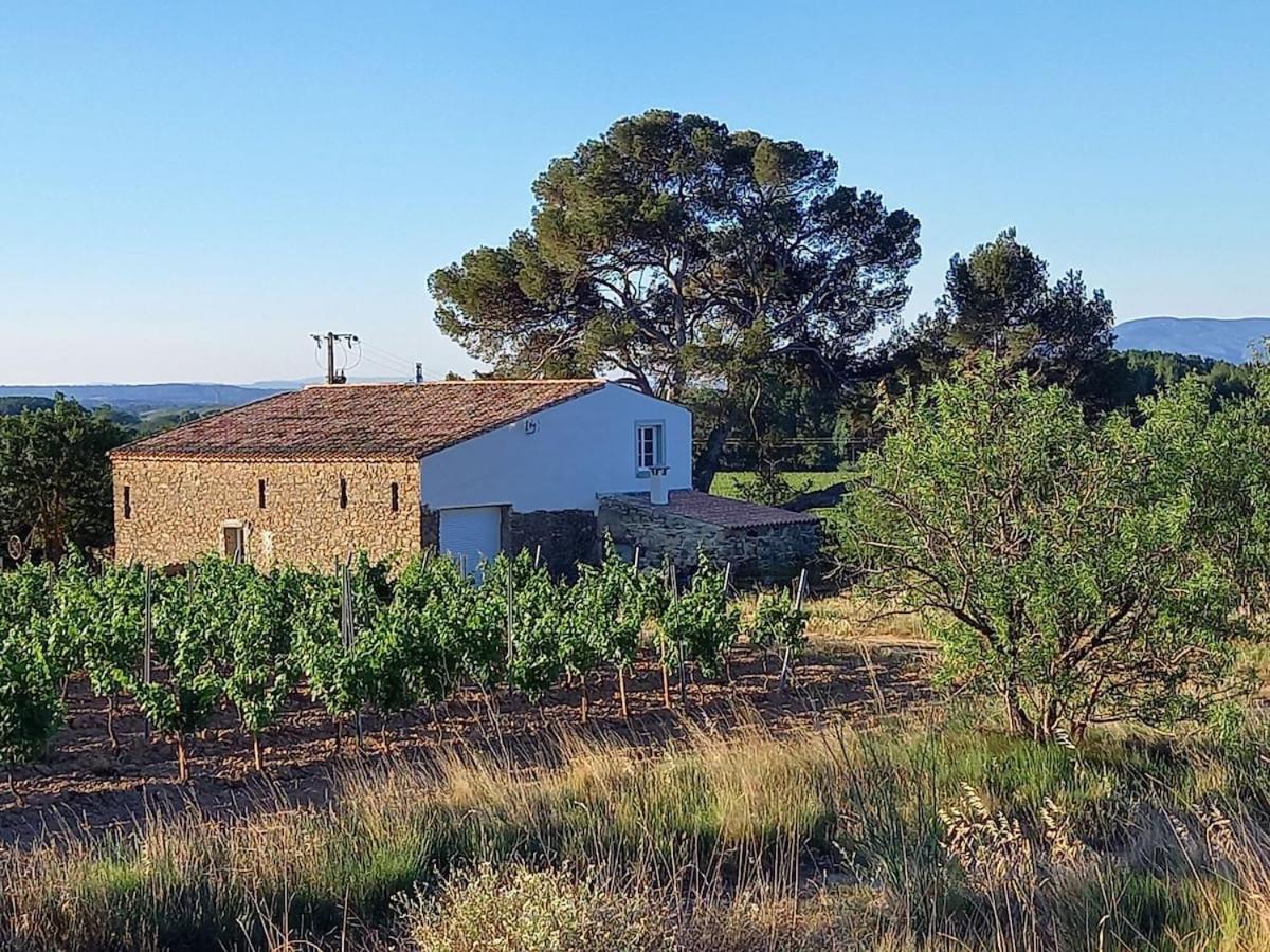 Villa Domaine Saint Augustin Rieux-Minervois Esterno foto
